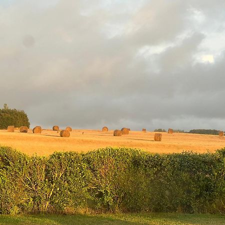 Coolcottage Des 2 Caps Leulinghen-Bernes Bagian luar foto